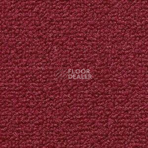 Ковролин Radici Trotter Granata 9480 фото 1 | FLOORDEALER